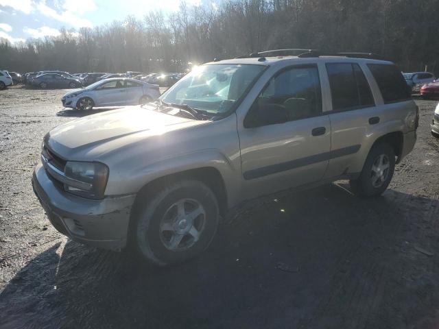 CHEVROLET TRAILBLAZE 2005 1gndt13sx52240056