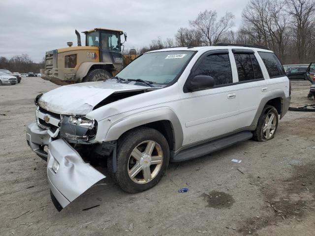 CHEVROLET TRAILBLZR 2007 1gndt13sx72160100