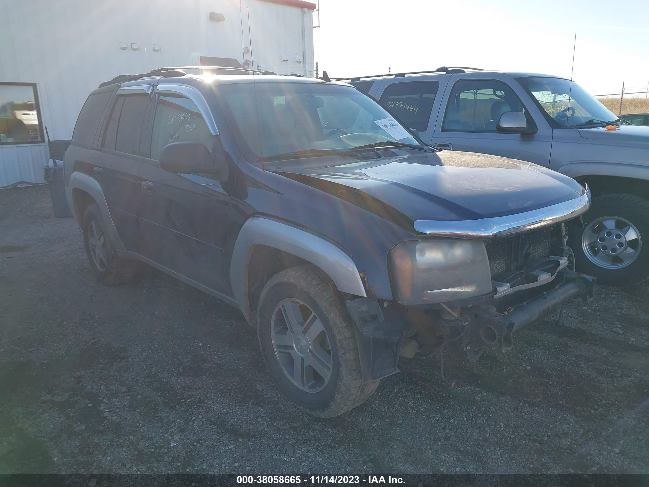 CHEVROLET TRAILBLAZER 2008 1gndt13sx82161202