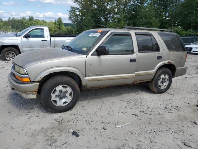 CHEVROLET BLAZER 2002 1gndt13w22k194186