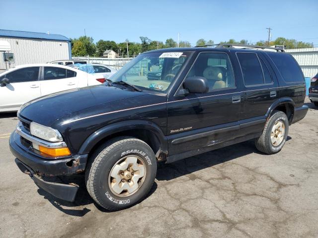 CHEVROLET BLAZER 1999 1gndt13w7x2174278