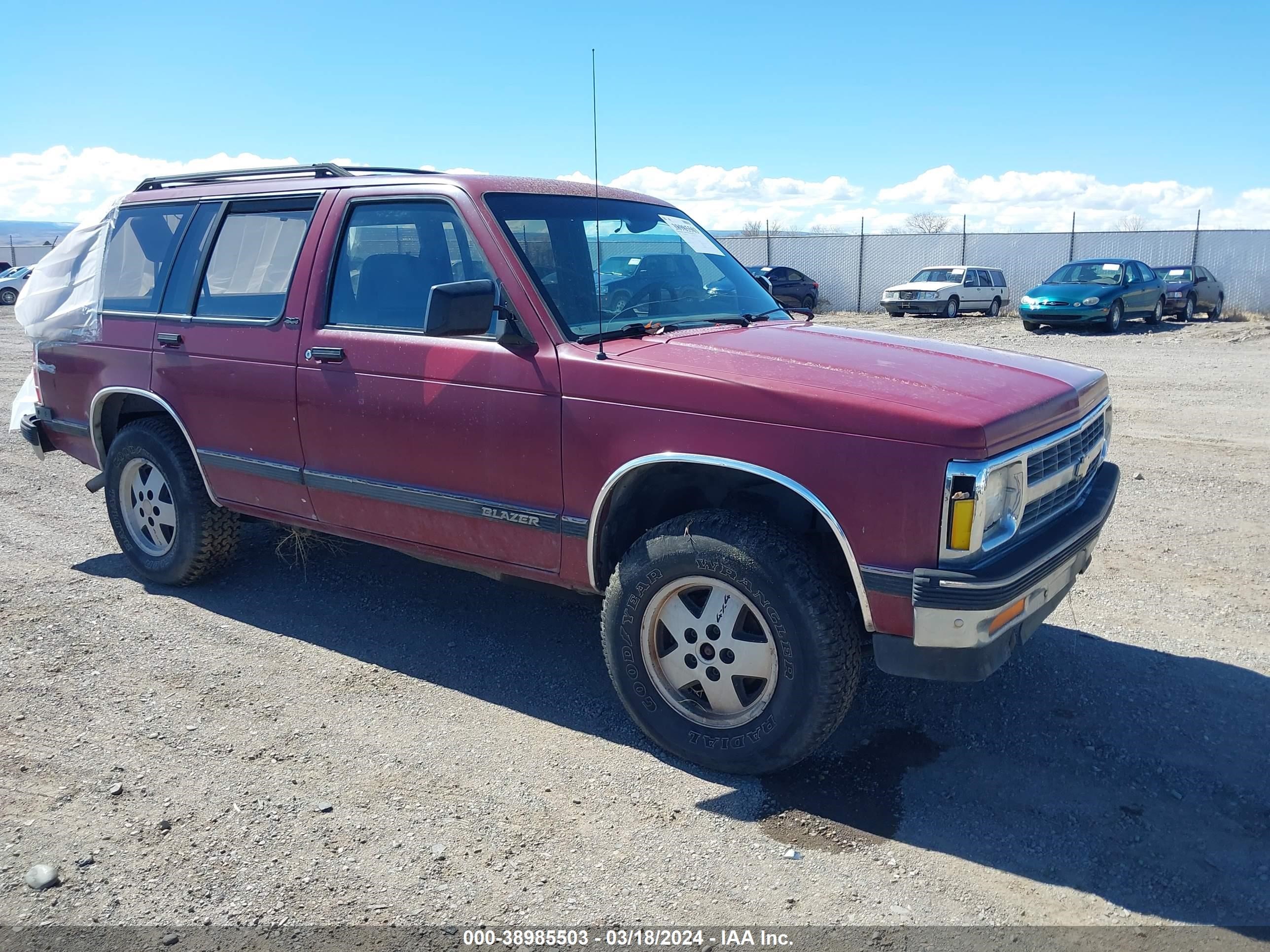 CHEVROLET BLAZER 1992 1gndt13z9n2213881