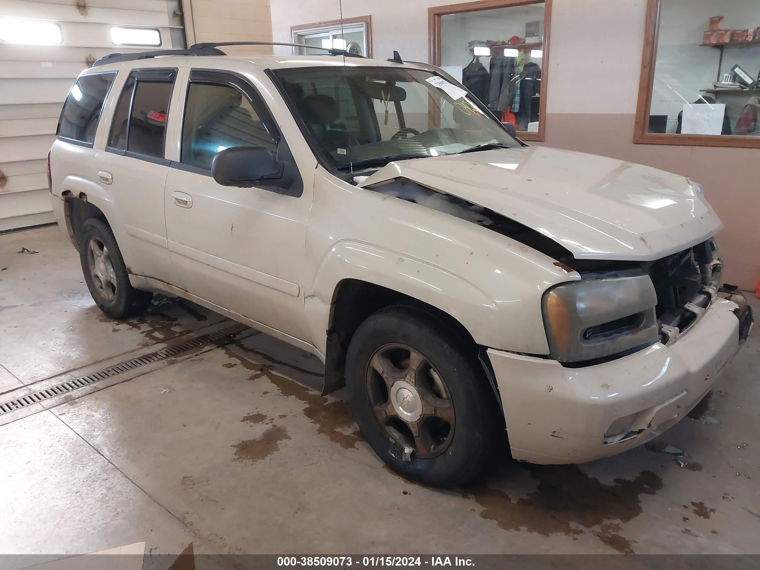 CHEVROLET TRAILBLAZER 2009 1gndt33sx92112398