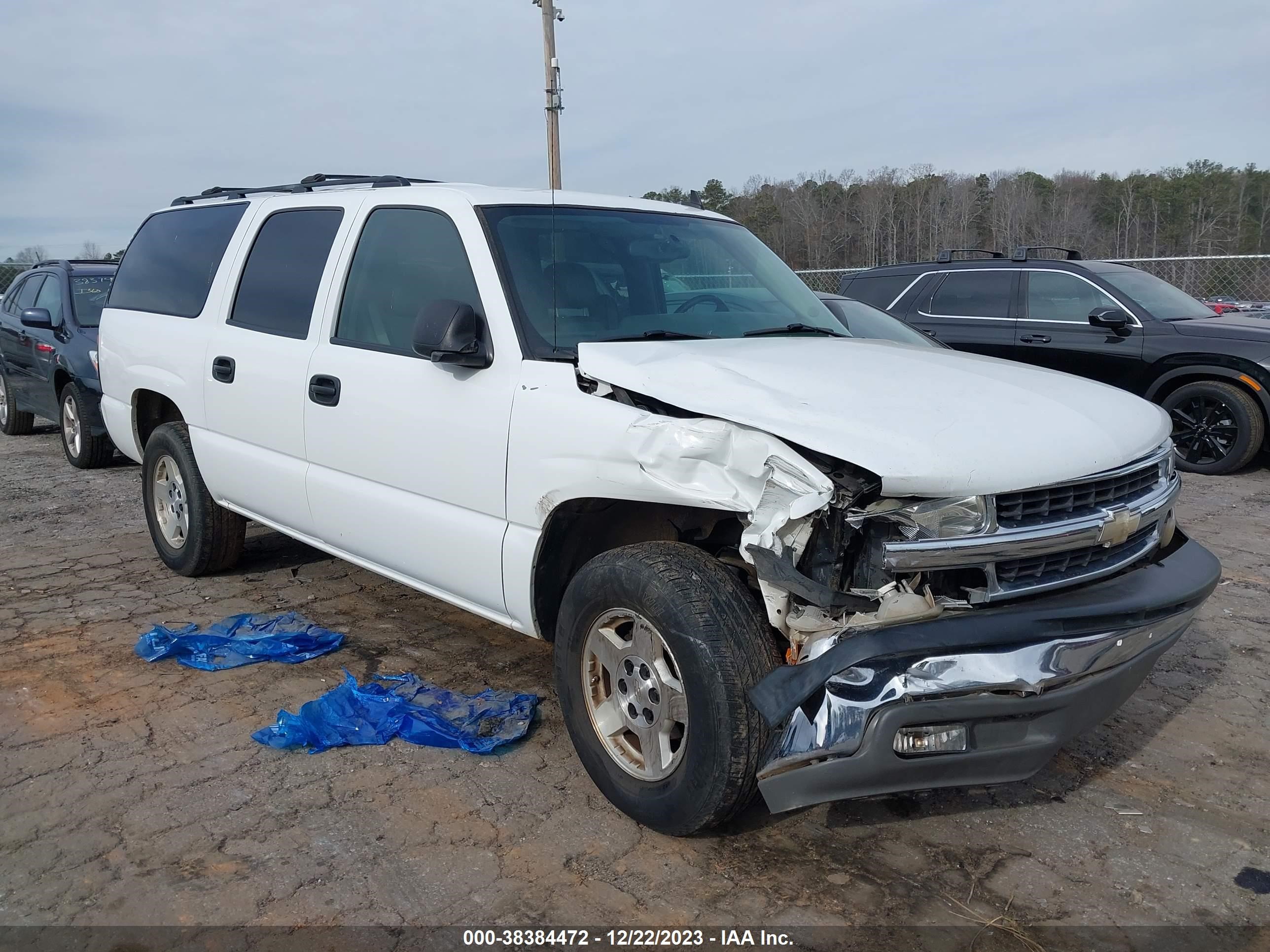 CHEVROLET EXPRESS 2006 1gnec16z66j115656