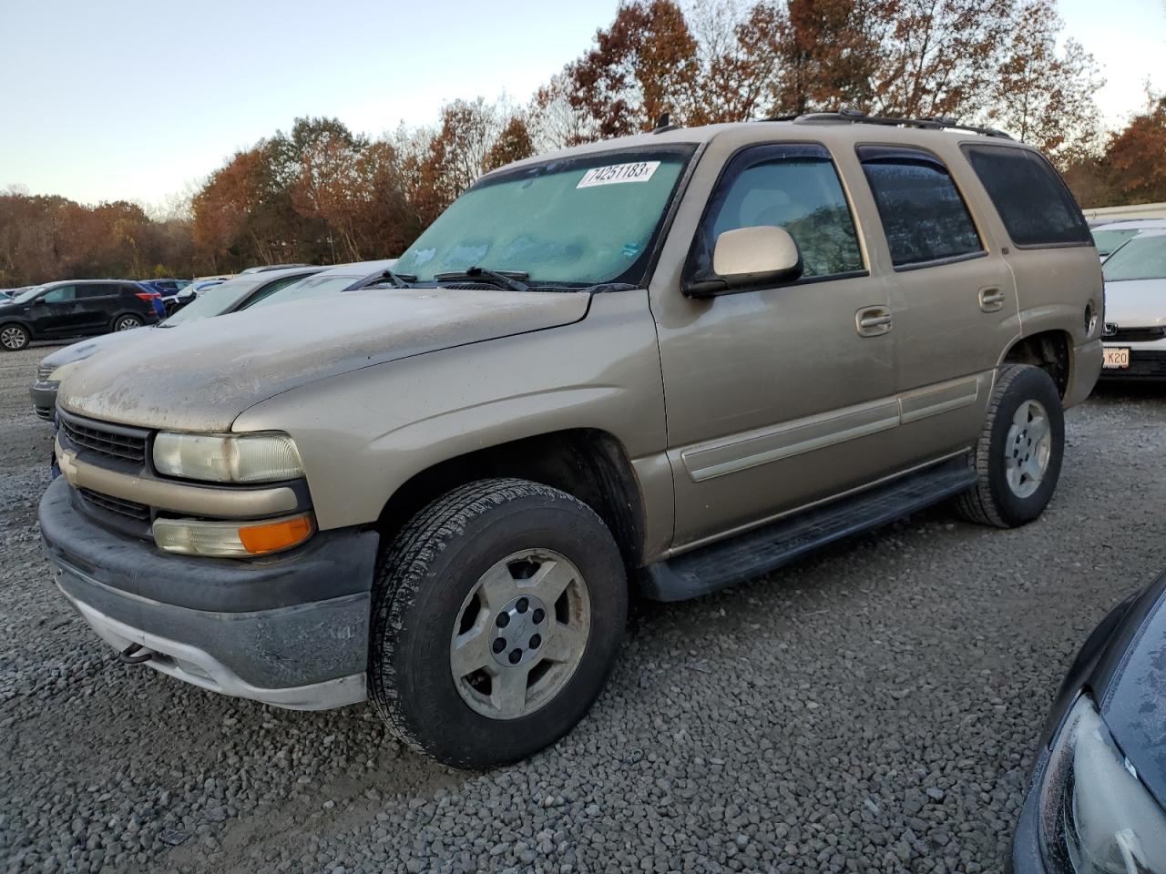 CHEVROLET TAHOE 2006 1gnek13t66j111402