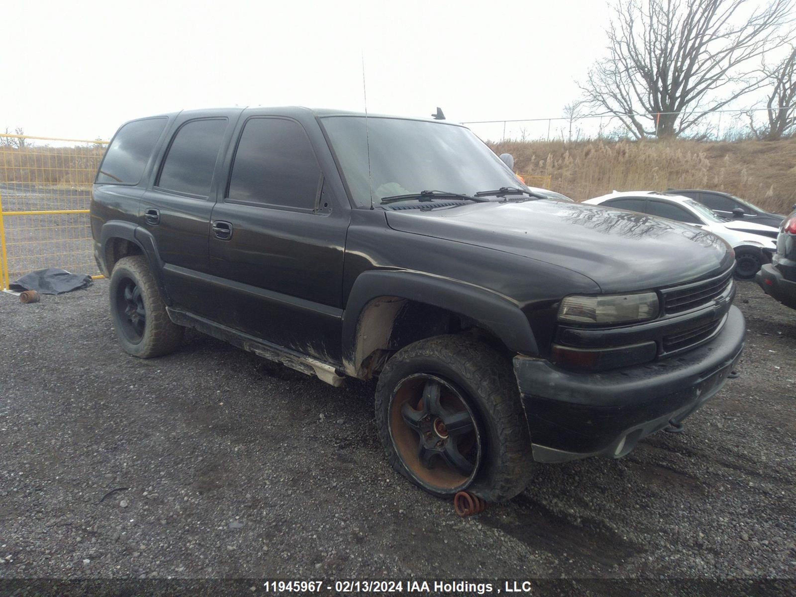 CHEVROLET TAHOE 2006 1gnek13tx6r152309