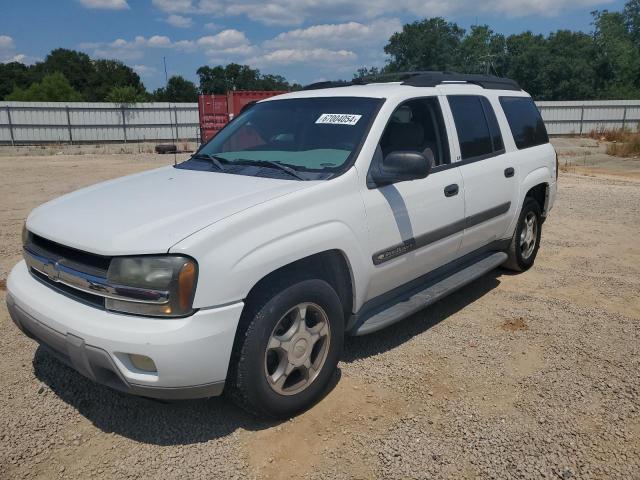 CHEVROLET TRAILBLAZE 2004 1gnes16s246134372