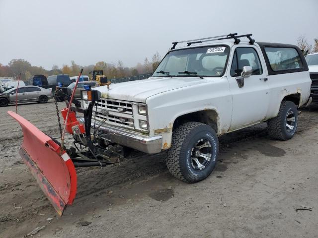 CHEVROLET BLAZER V10 1987 1gnev18h7hf153949