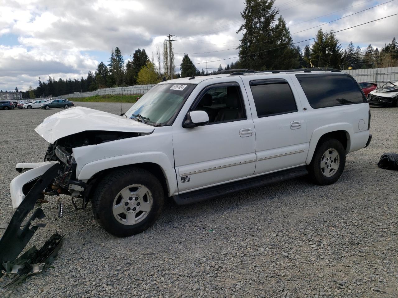 CHEVROLET SUBURBAN 2004 1gnfk16z04j174917