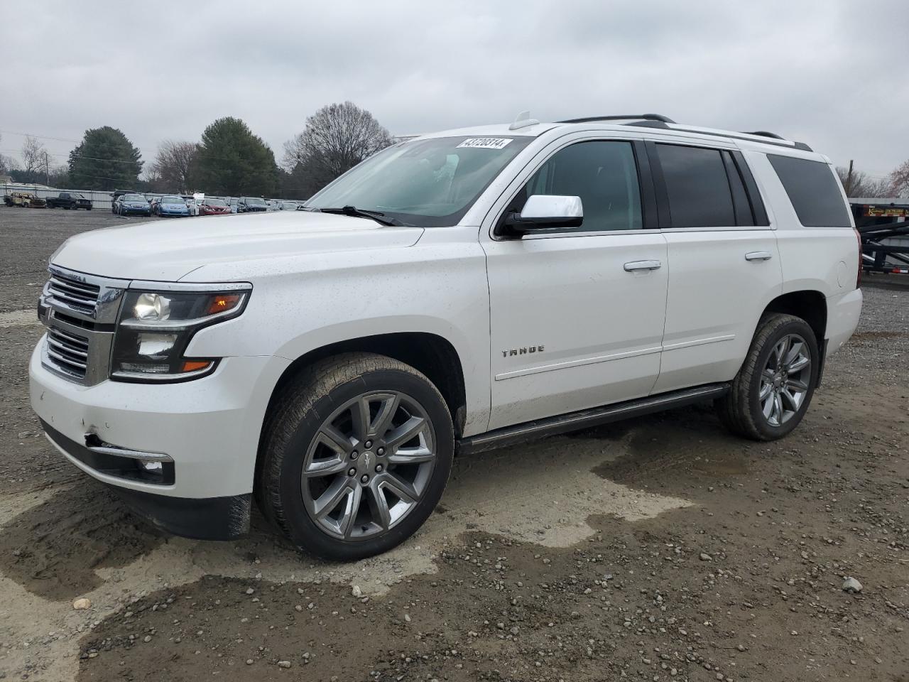 CHEVROLET TAHOE 2019 1gnskckc4kr263853