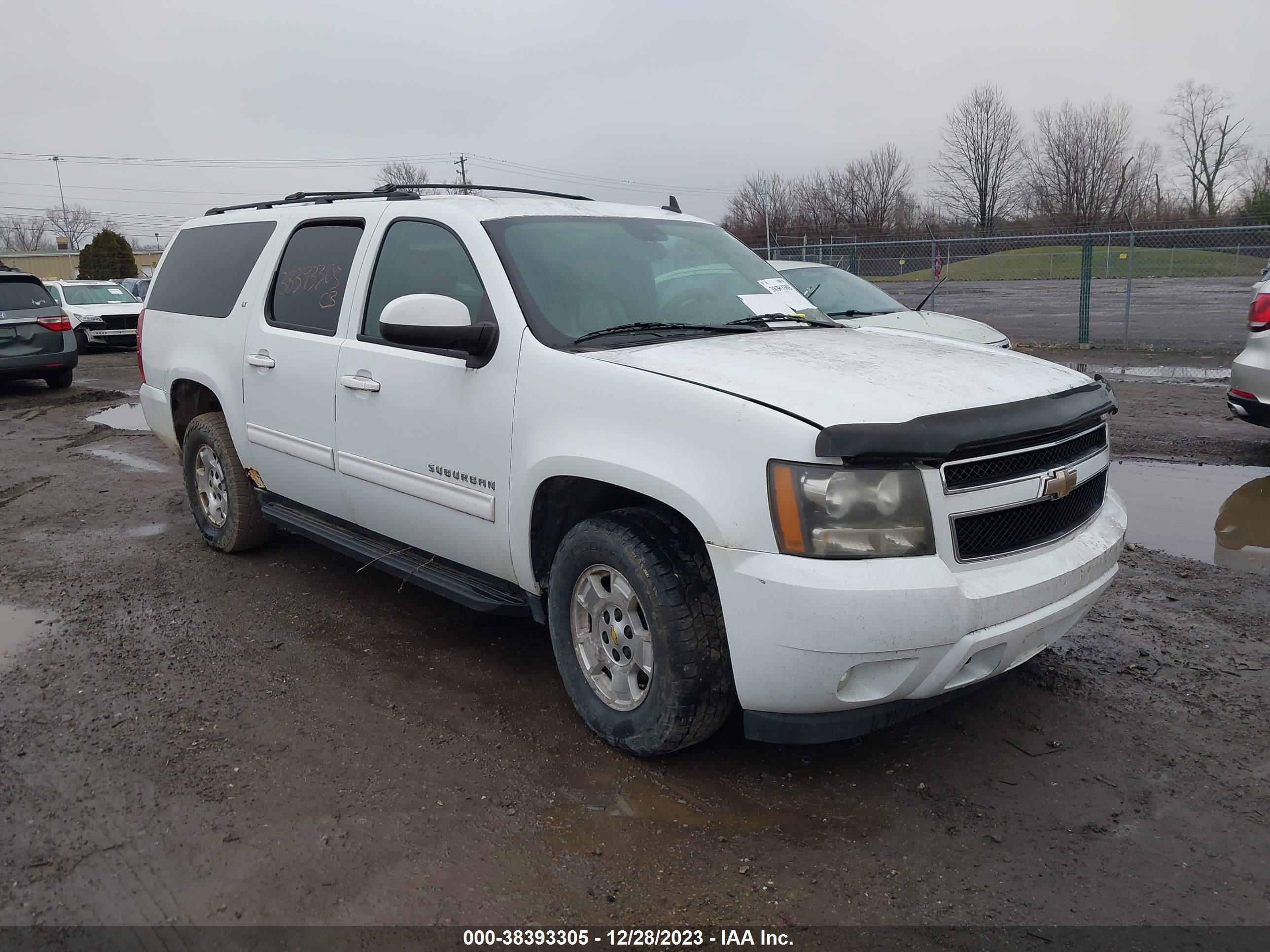 CHEVROLET EXPRESS 2011 1gnskje38br109310