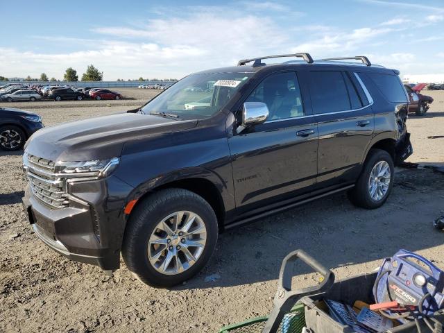 CHEVROLET TAHOE K150 2024 1gnskskt1rr144064