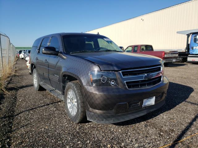 CHEVROLET TAHOE HYBR 2010 1gnucddj4ar221995