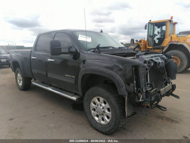 GMC SIERRA 2500HD 2011 1gt121cg2bf135428