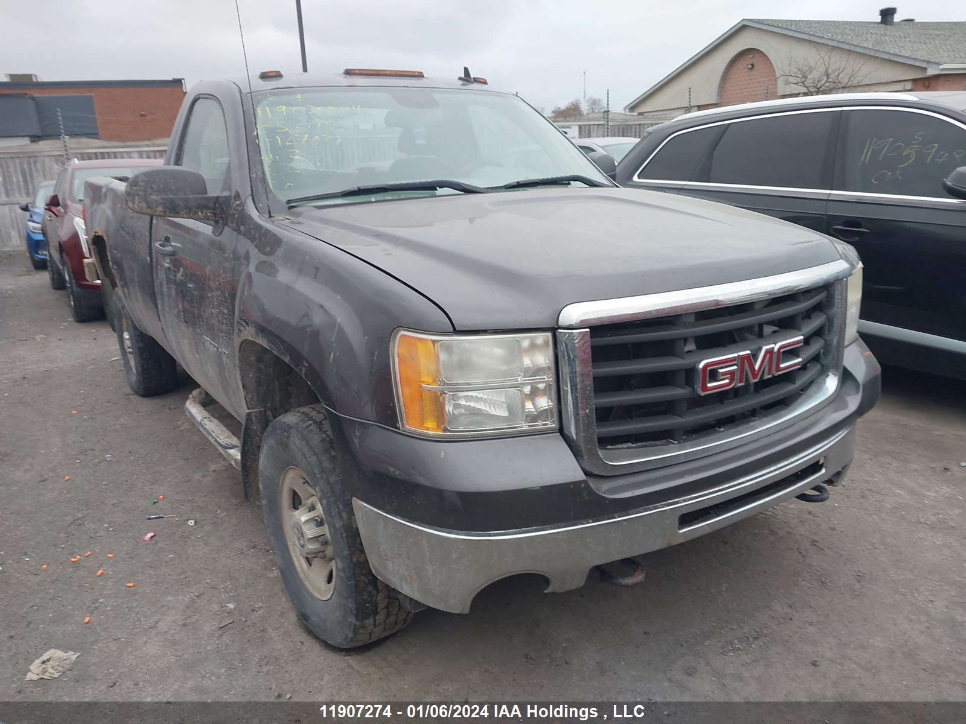 GMC SIERRA 2010 1gt3kzbgxaf127679