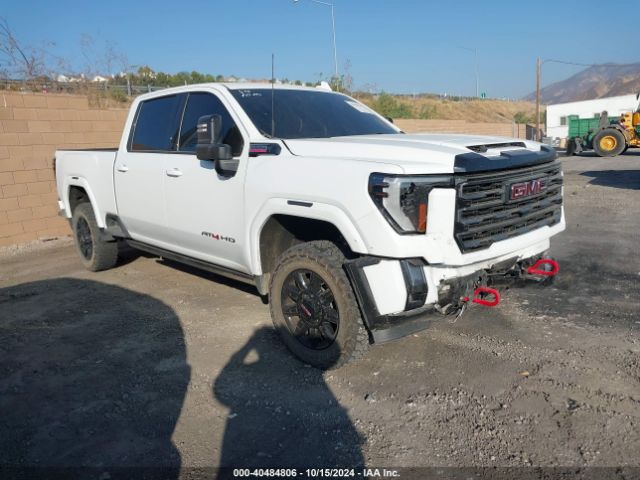 GMC SIERRA HD 2024 1gt49pey7rf150678