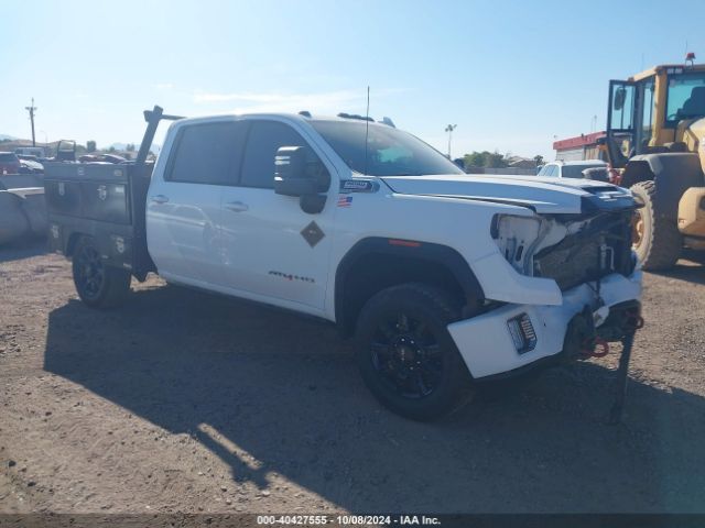 GMC SIERRA 2020 1gt49pey8lf166962