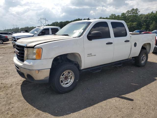 GMC SIERRA 2010 1gt4czb67af108449