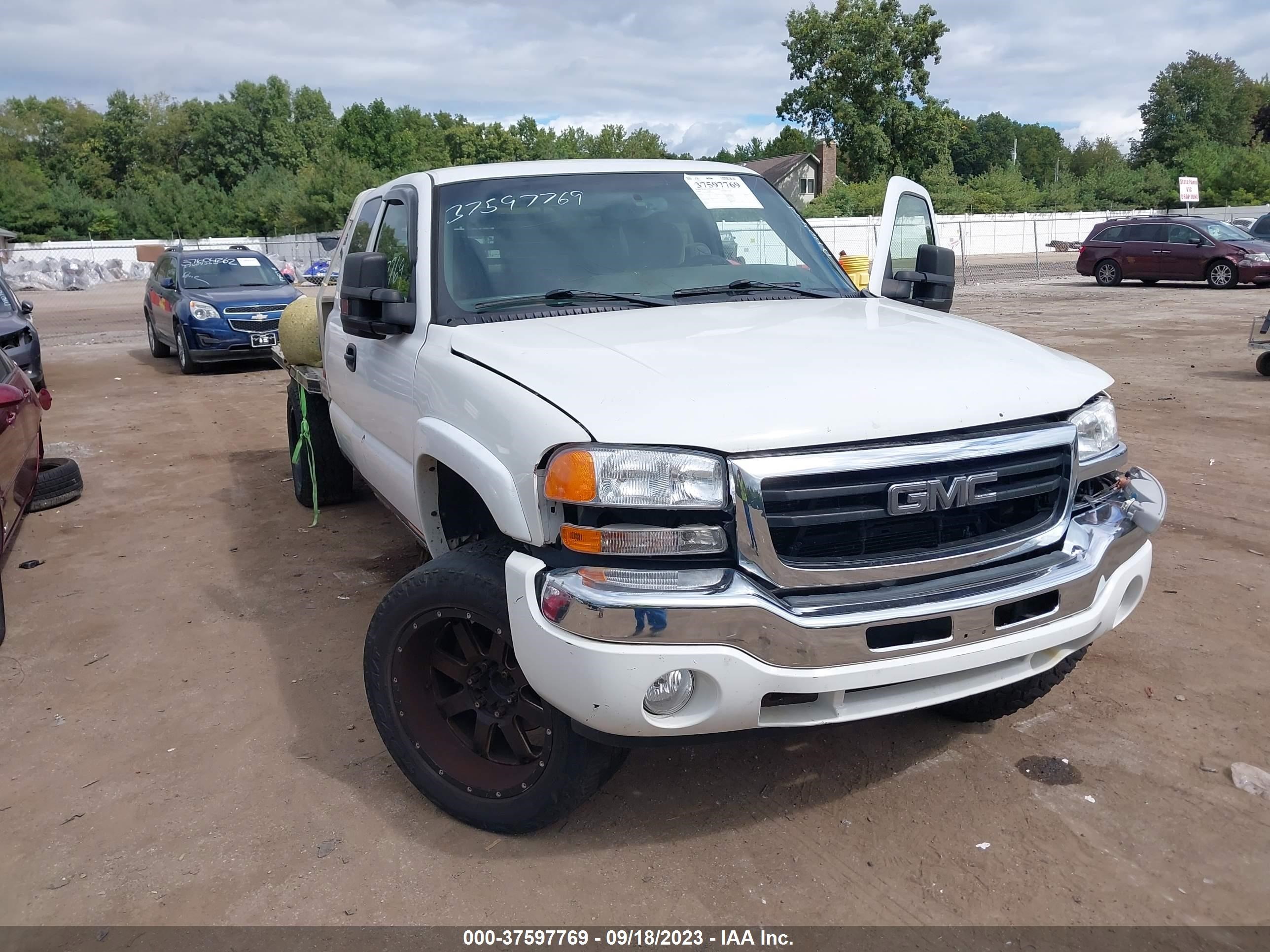 GMC SIERRA 2006 1gtec19t46e210175