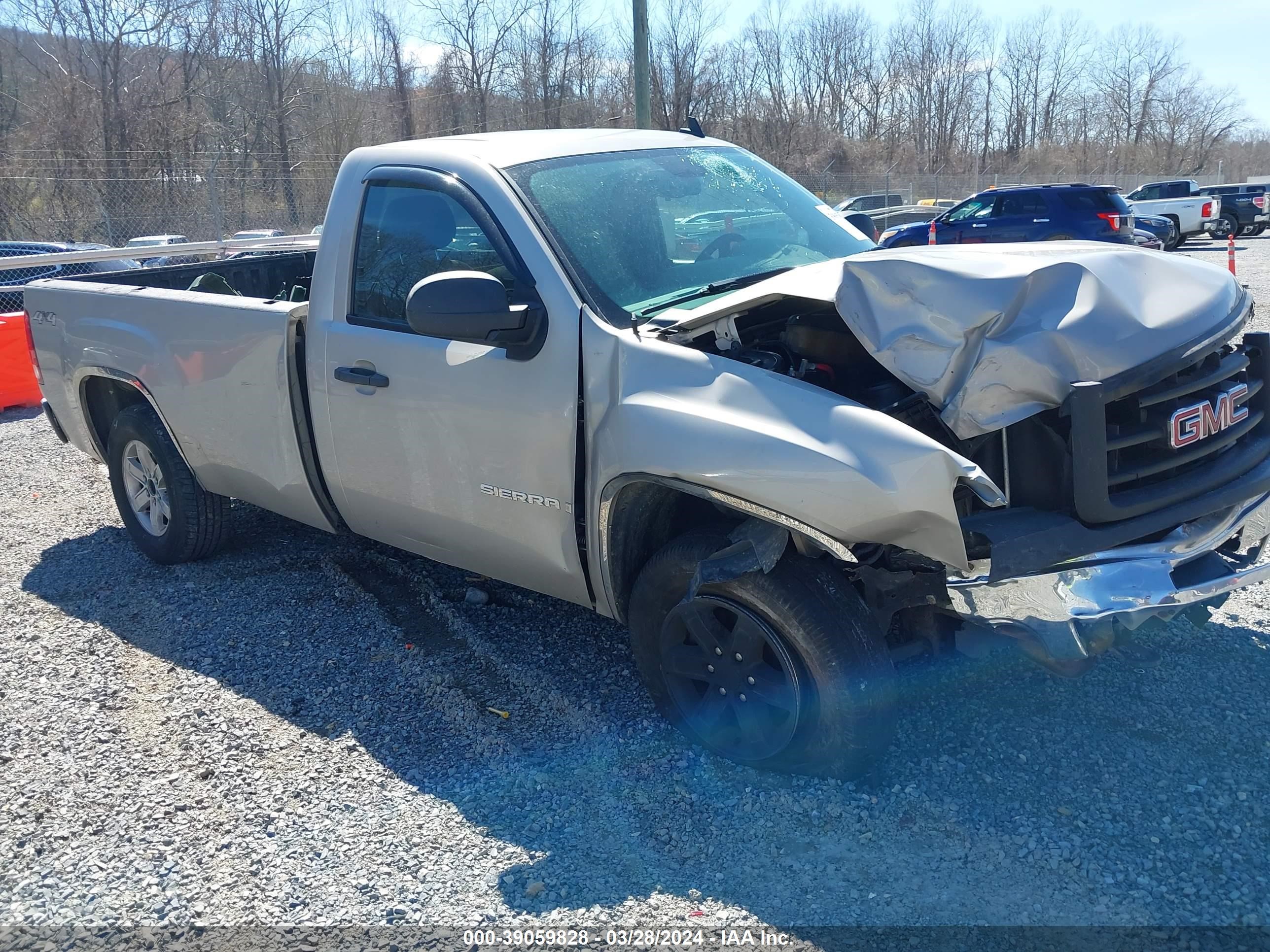 GMC SIERRA 2009 1gtek14c49z217005