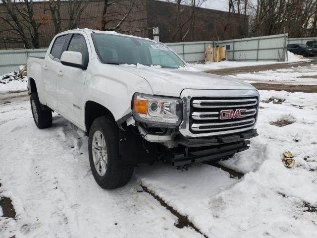 GMC CANYON SLE 2019 1gtg5cen5k1132044