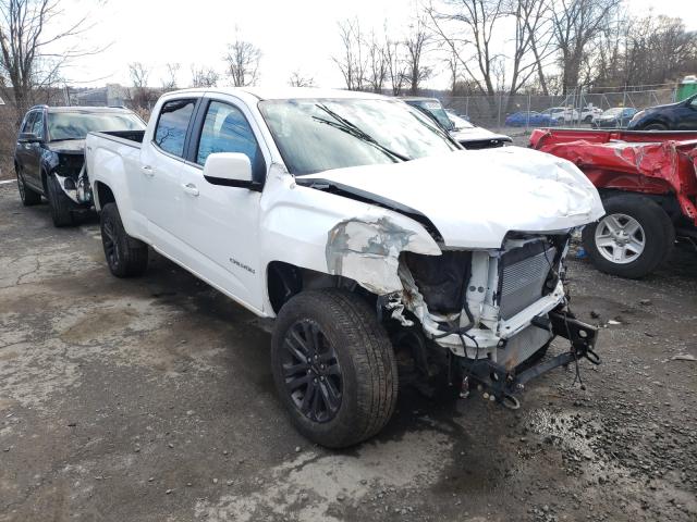 GMC CANYON 2019 1gtg6cen9k1246125