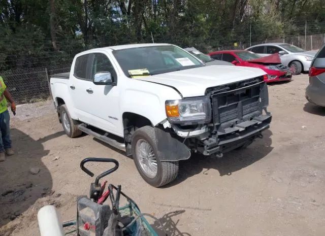 GMC CANYON 2017 1gtg6den4h1312613