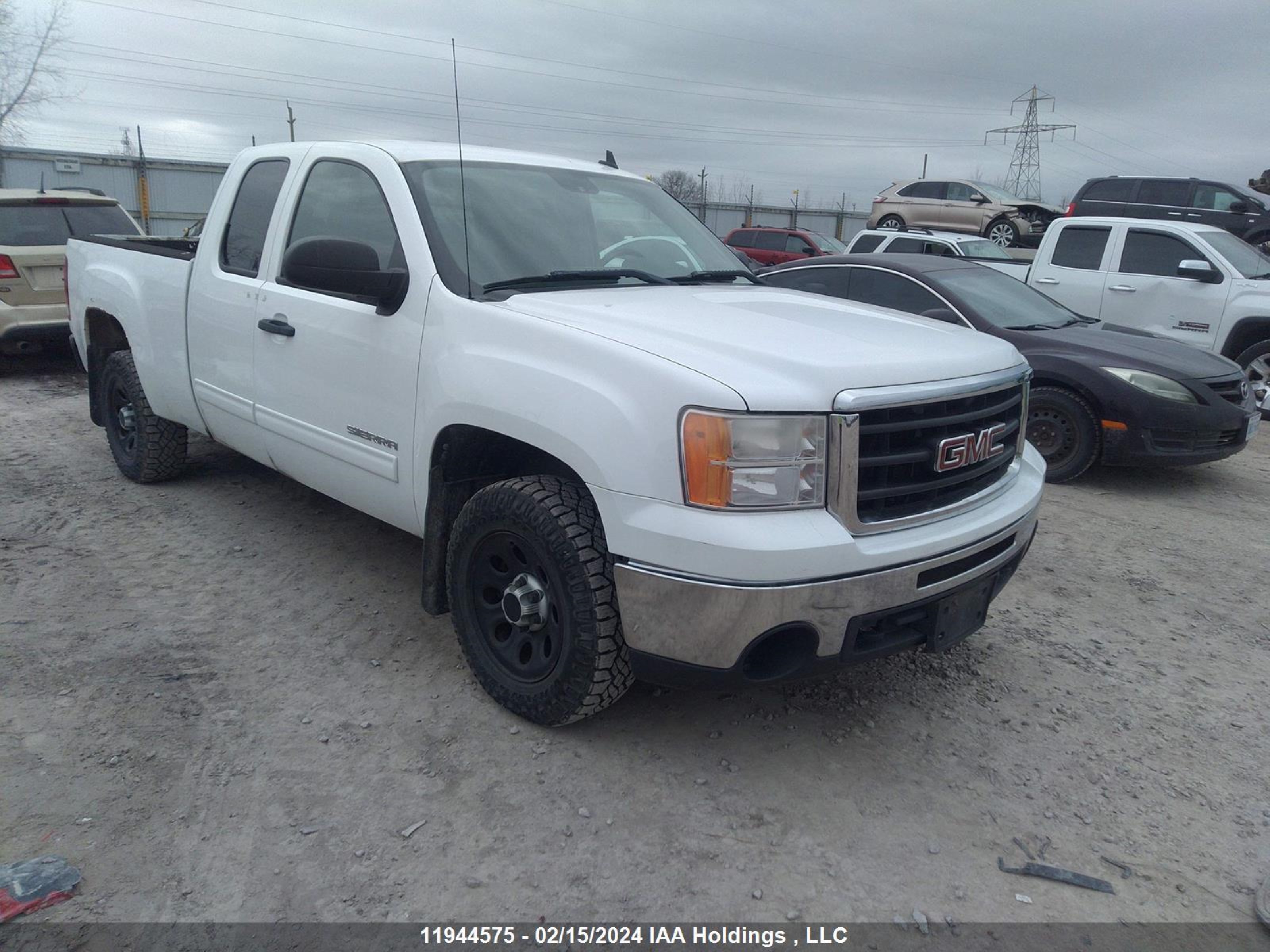 GMC SIERRA 2010 1gtscve01az215342