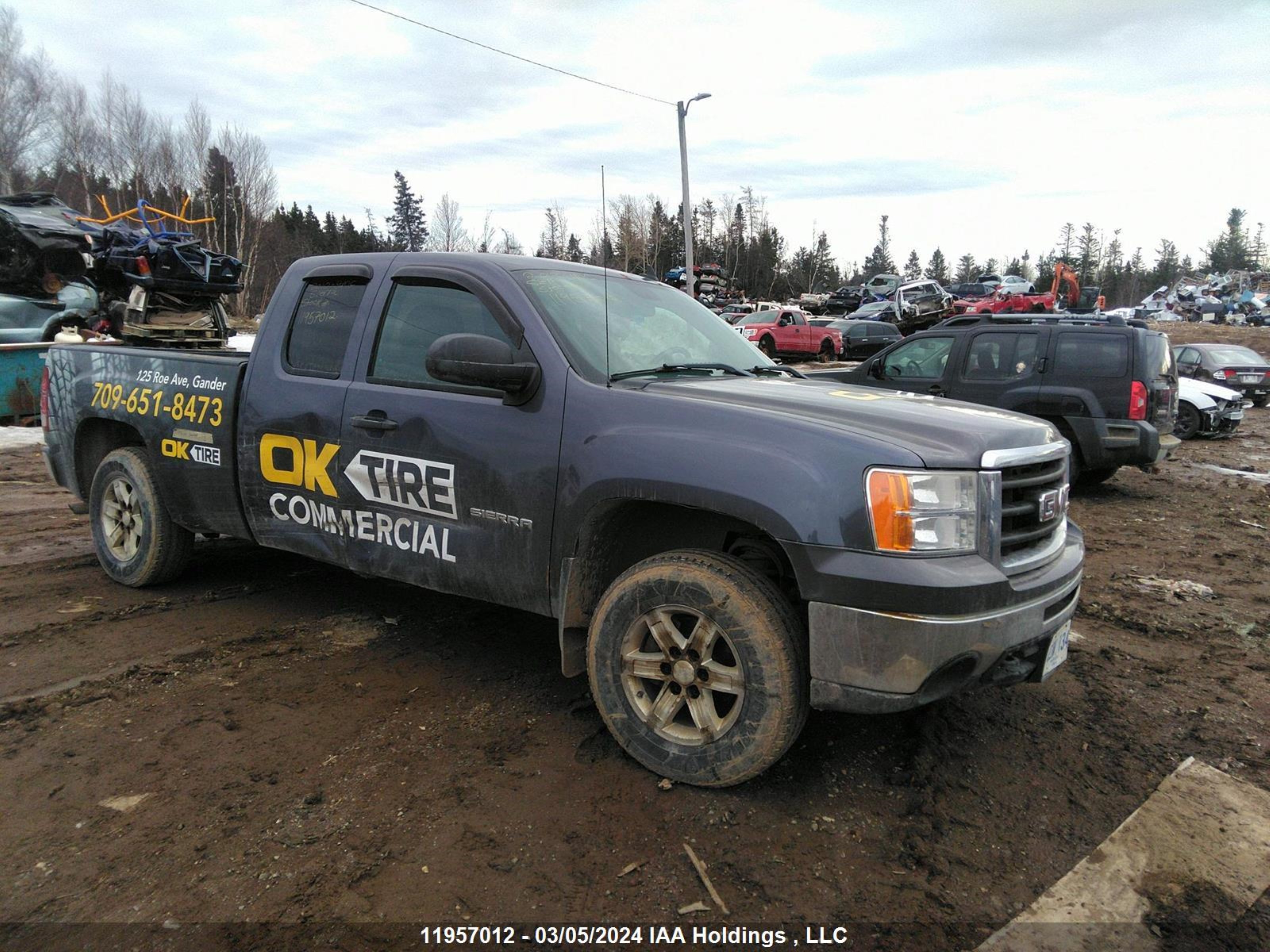 GMC SIERRA 2010 1gtskve30az184288