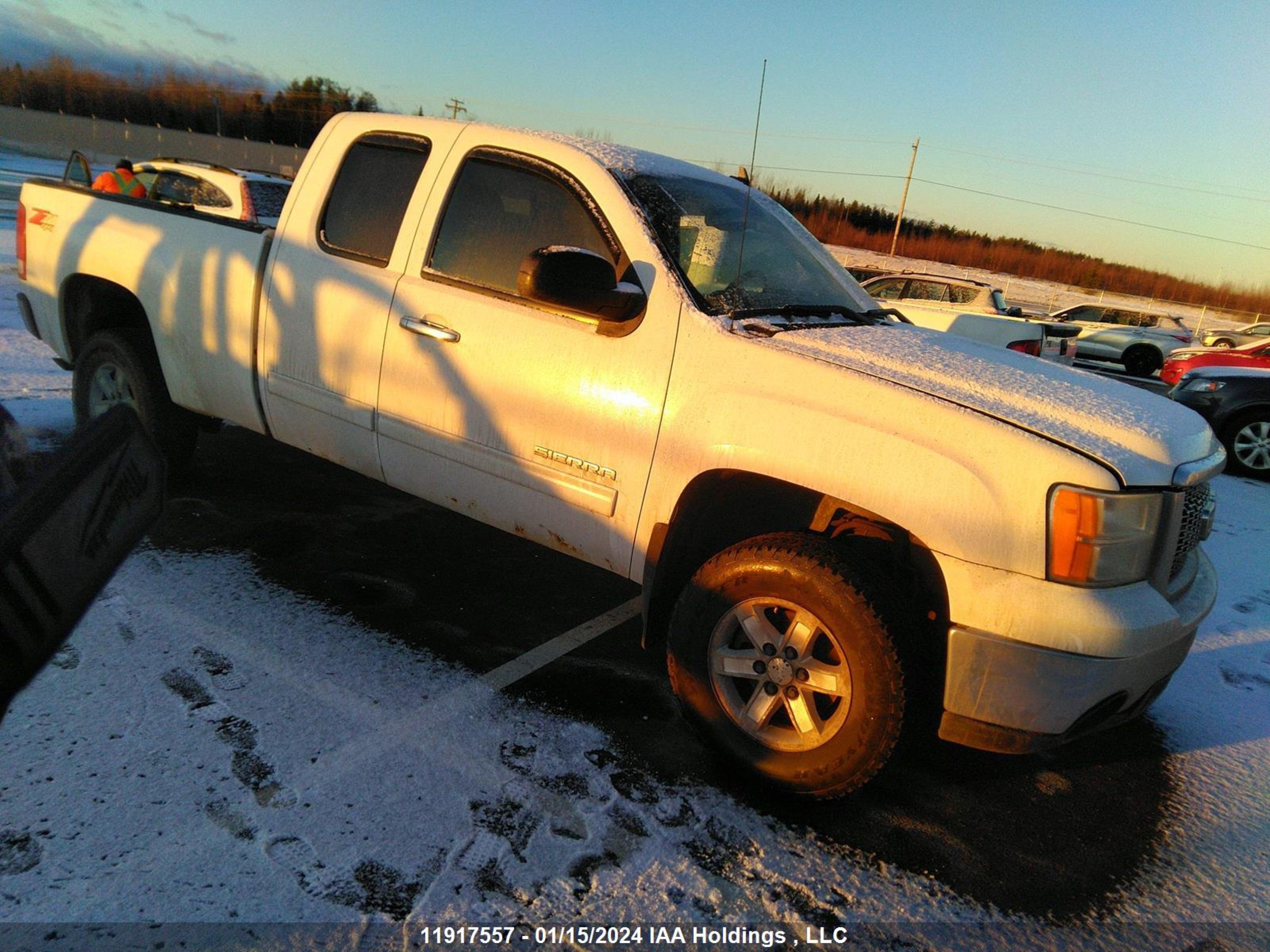 GMC SIERRA 2010 1gtskve31az288501