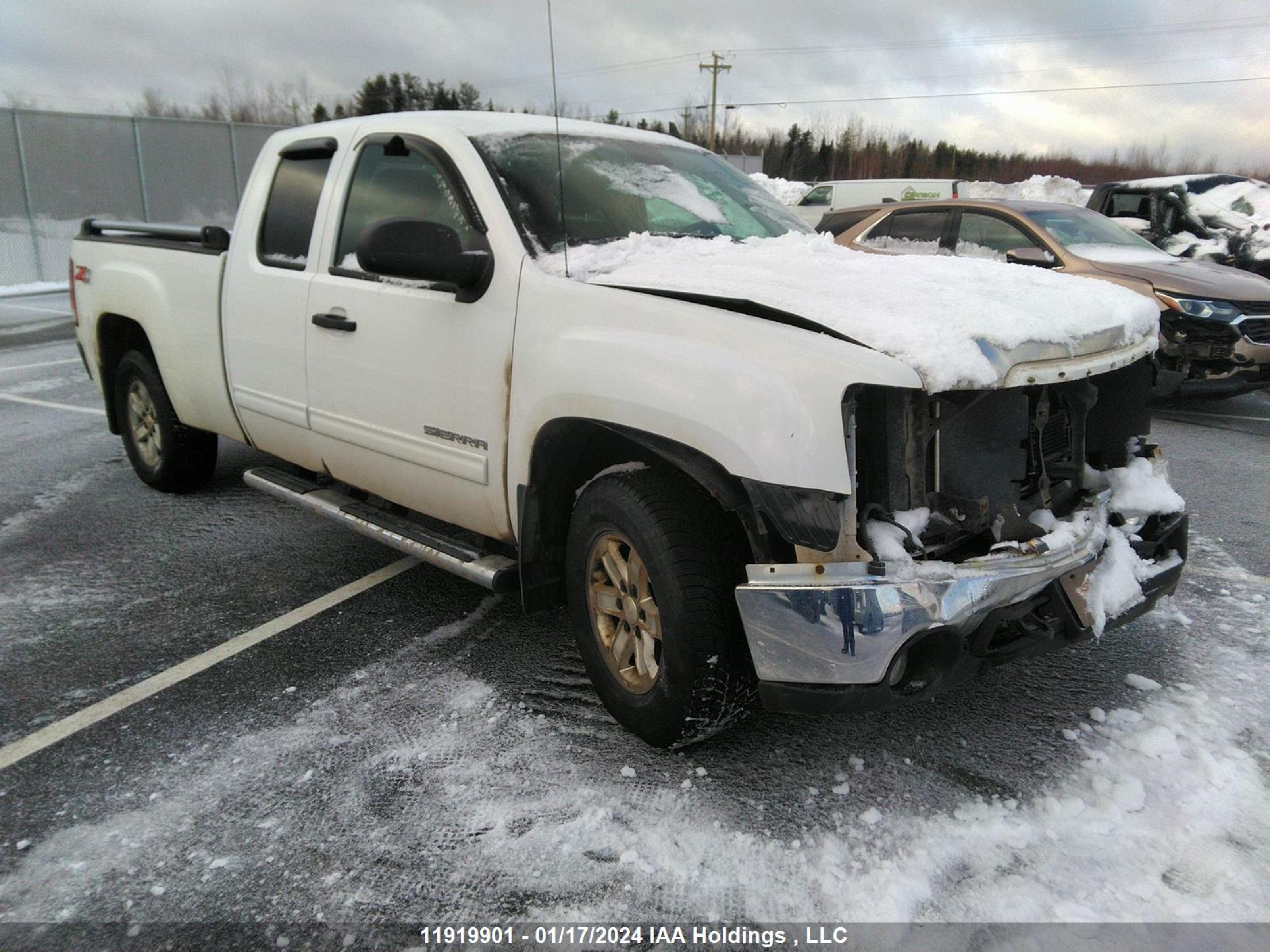 GMC SIERRA 2010 1gtskve39az224111