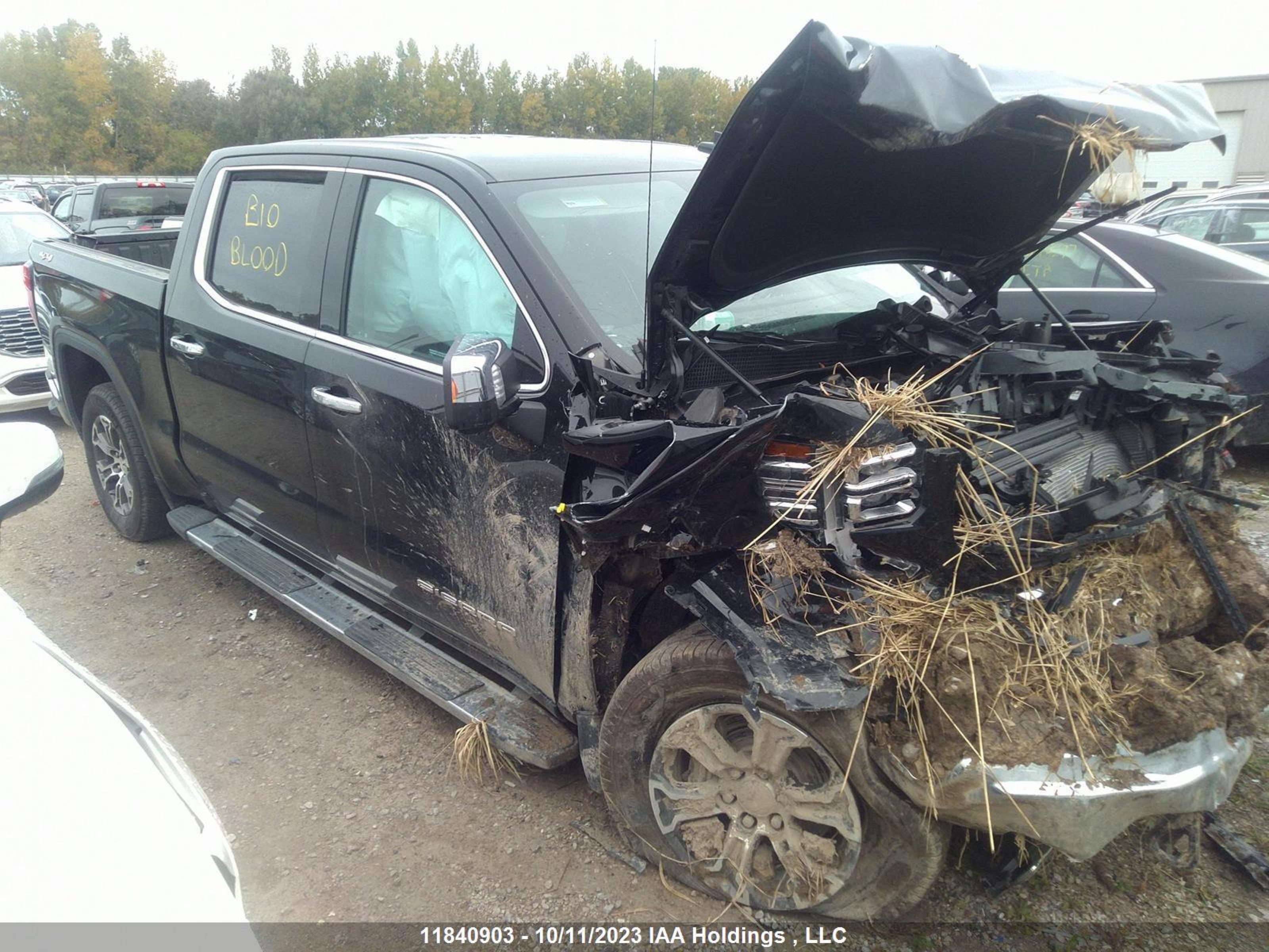 GMC SIERRA 2022 1gtuuded6nz554977