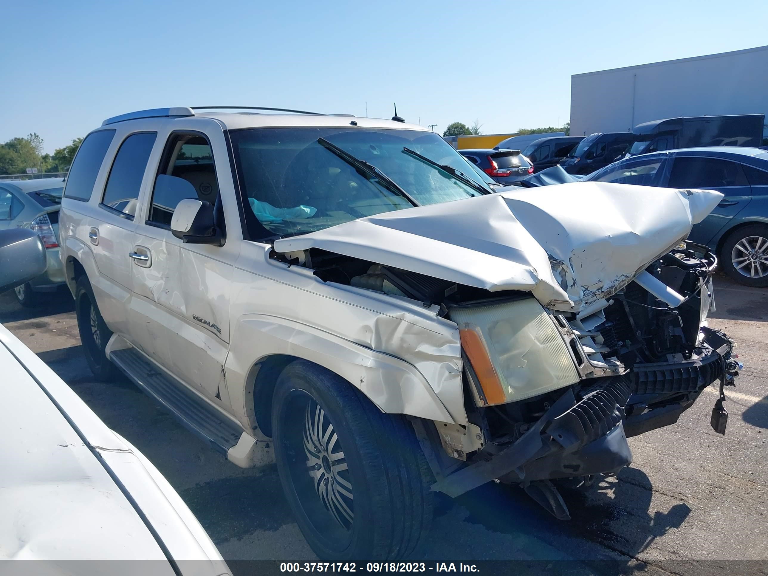 CADILLAC ESCALADE 2003 1gyec63t23r250503