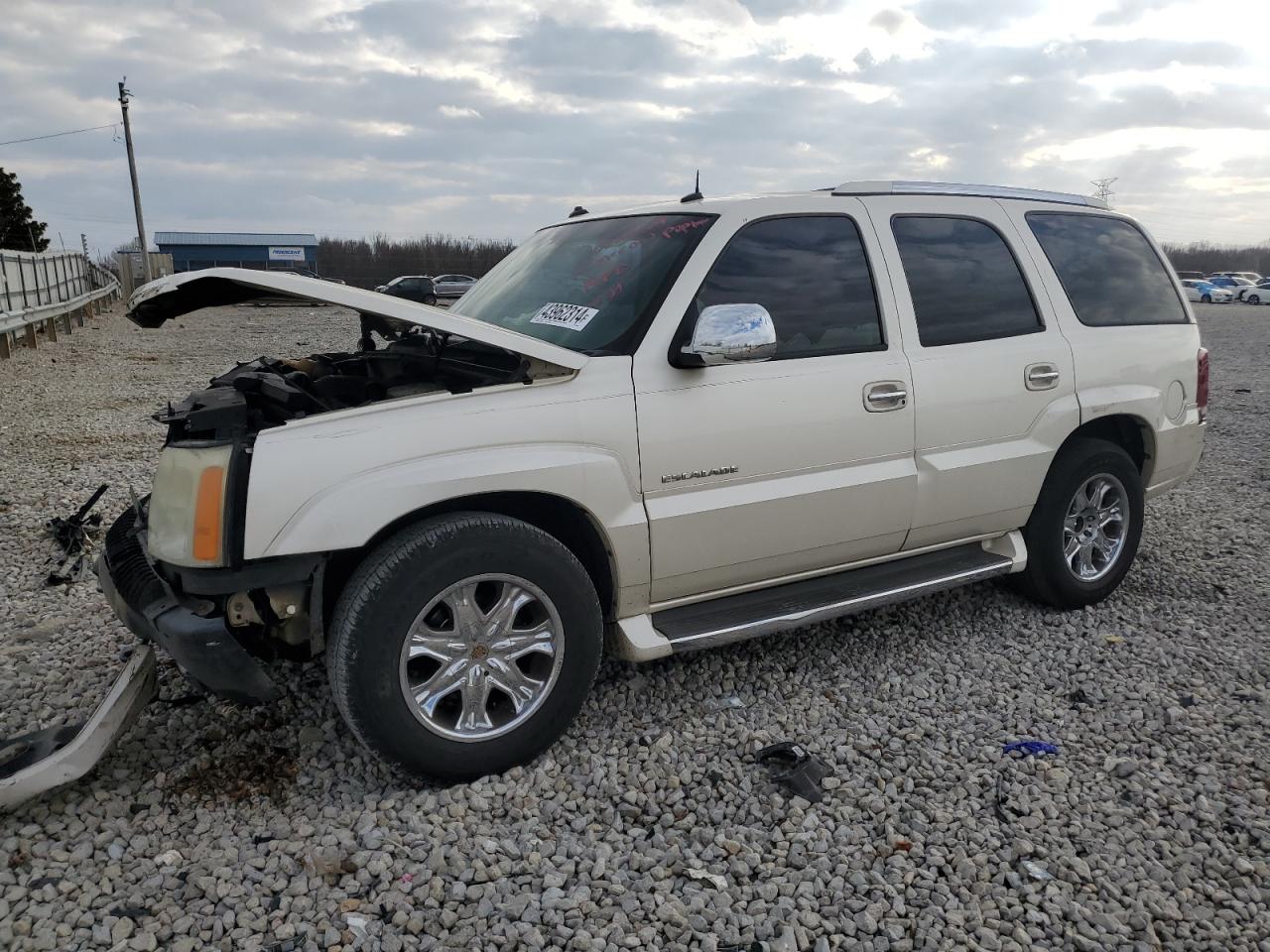 CADILLAC ESCALADE 2003 1gyec63t43r306246