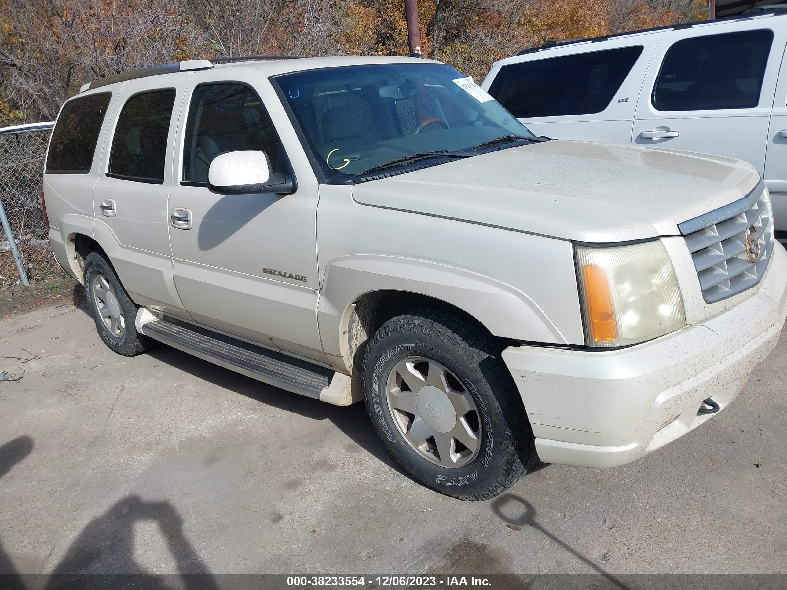 CADILLAC ESCALADE 2003 1gyec63t73r253137