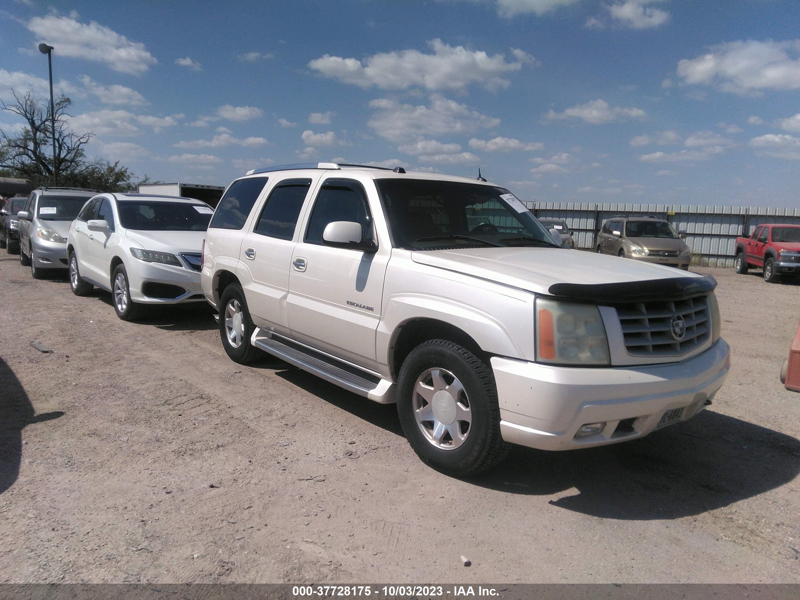 CADILLAC ESCALADE 2004 1gyec63t74r273826