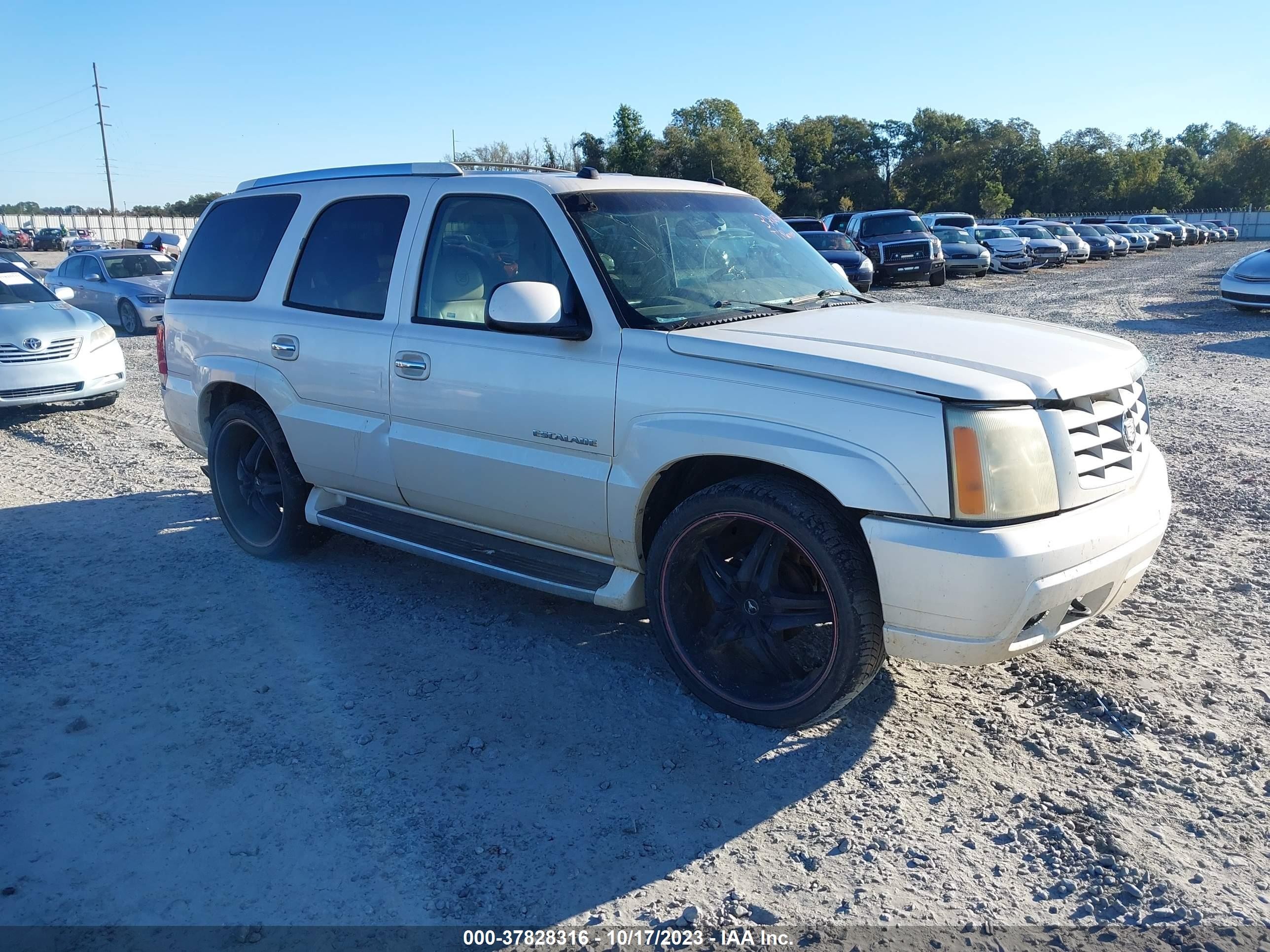 CADILLAC ESCALADE 2004 1gyec63t84r141514