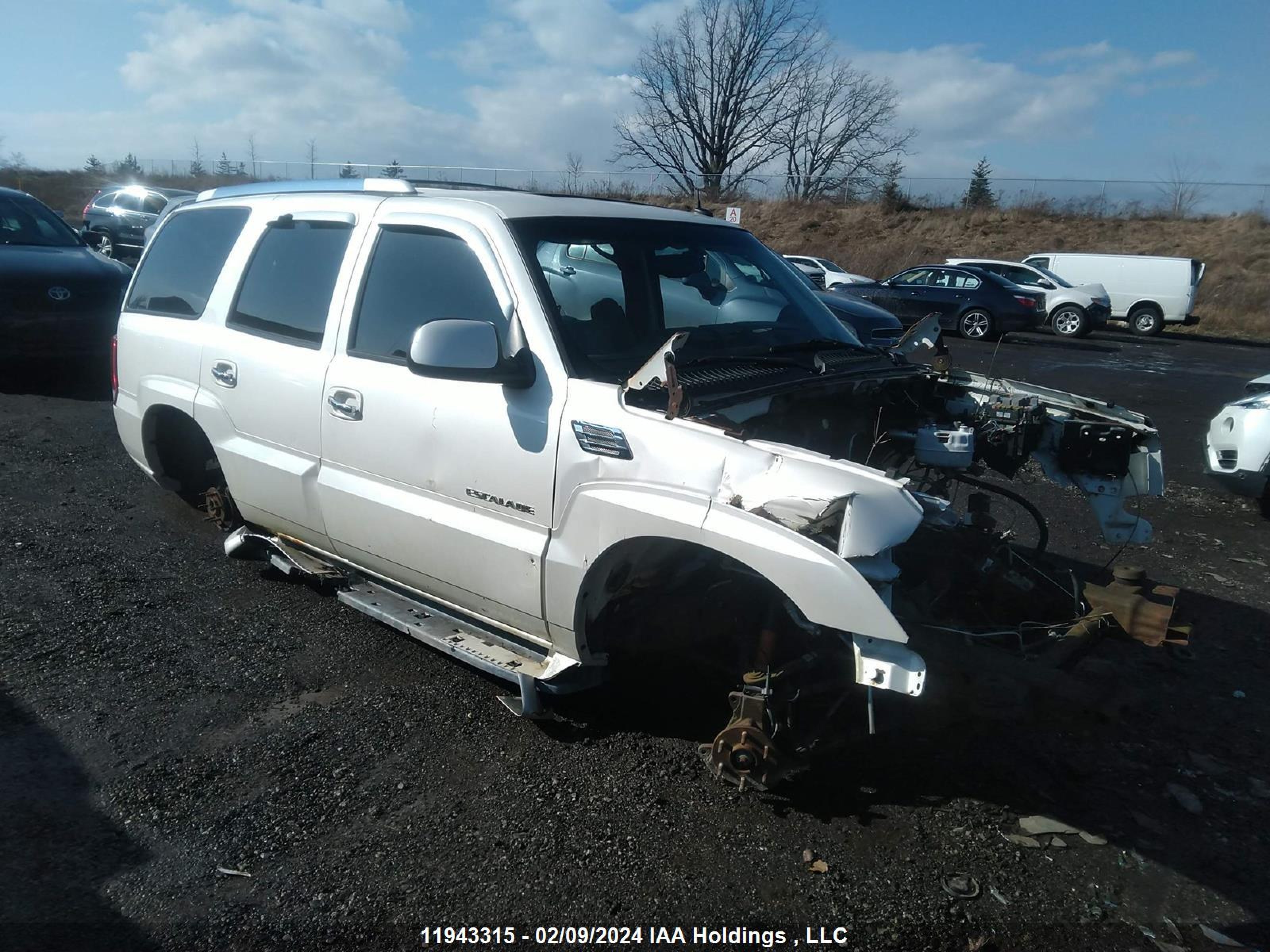 CADILLAC ESCALADE 2004 1gyek63n04r131208