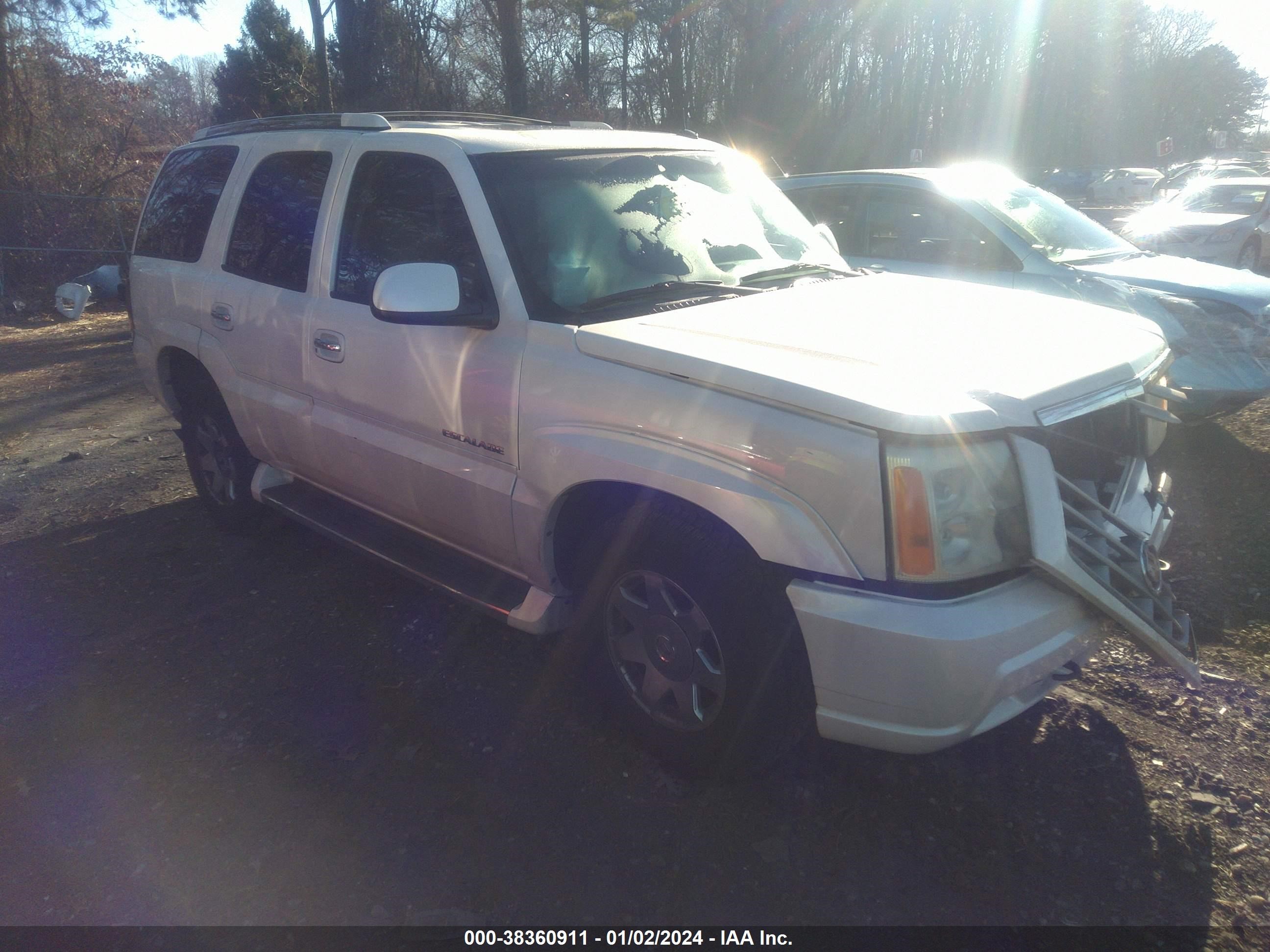 CADILLAC ESCALADE 2003 1gyek63n13r102203