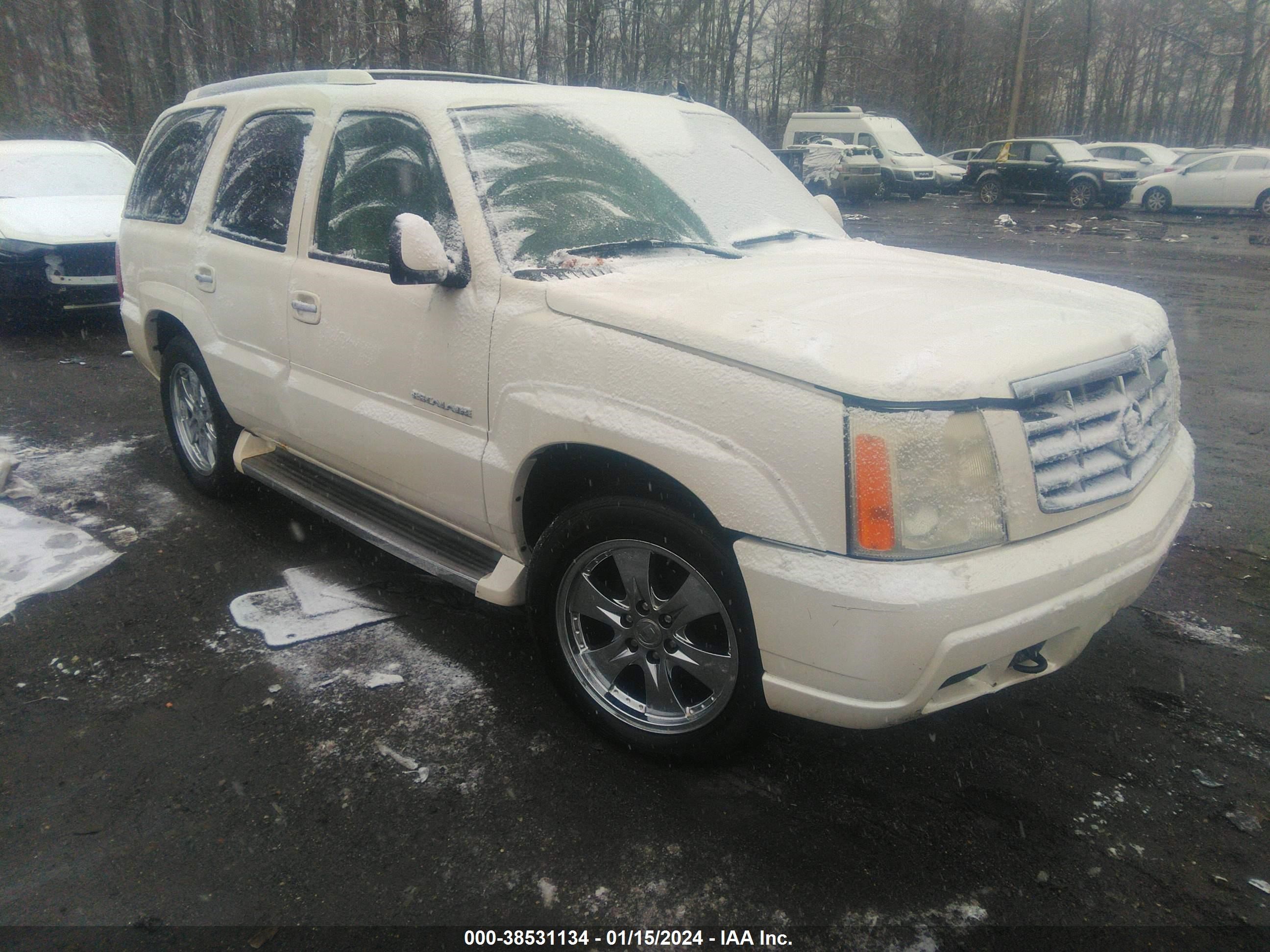 CADILLAC ESCALADE 2006 1gyek63n16r130703