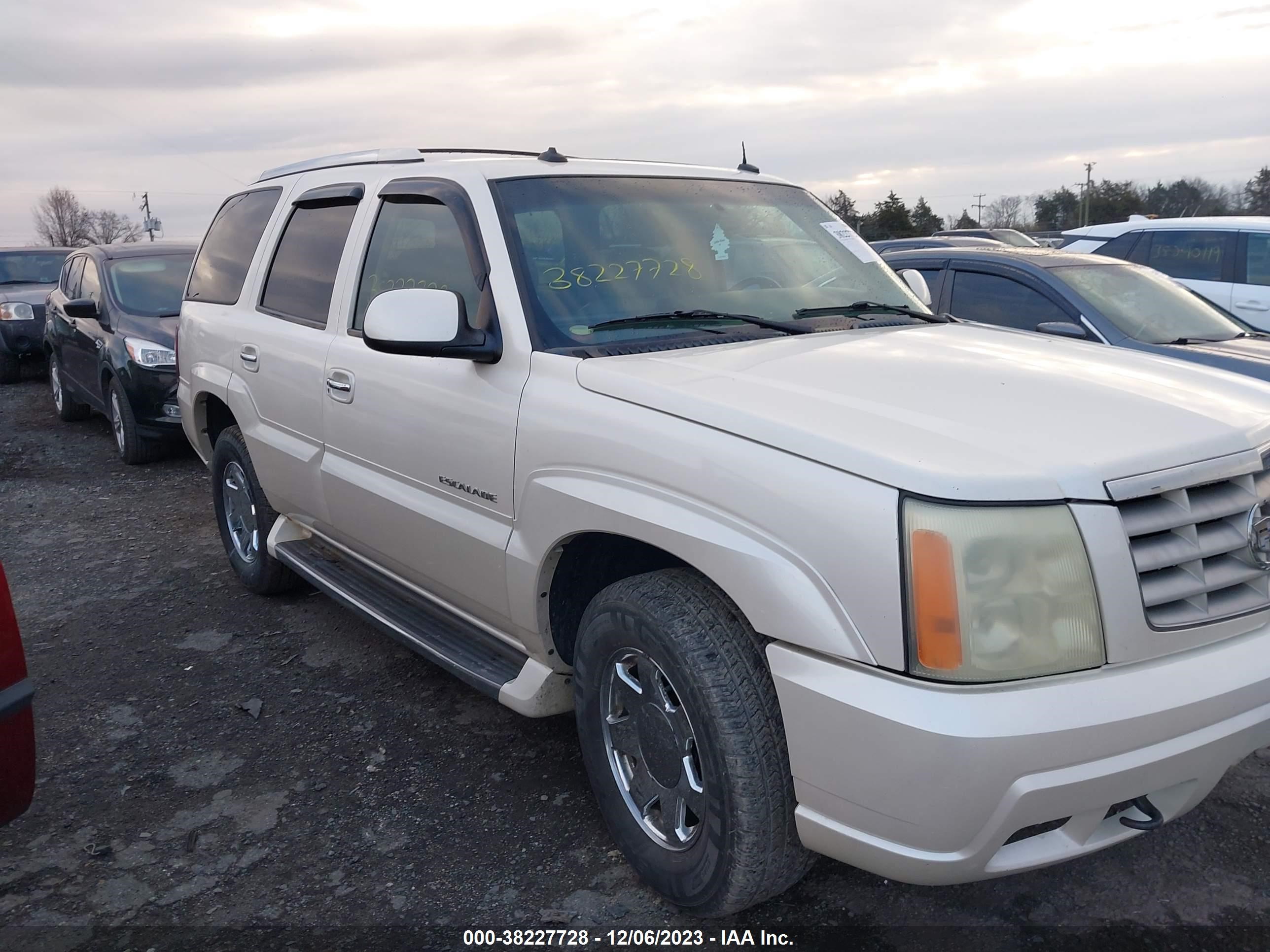 CADILLAC ESCALADE 2003 1gyek63n23r300952