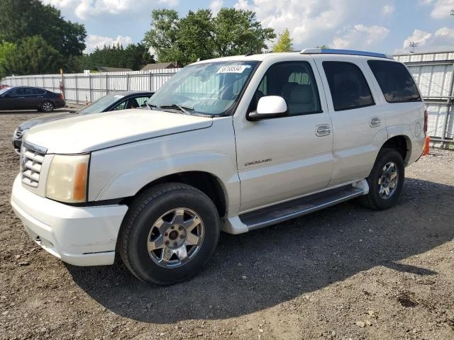 CADILLAC ESCALADE L 2004 1gyek63n44r108093