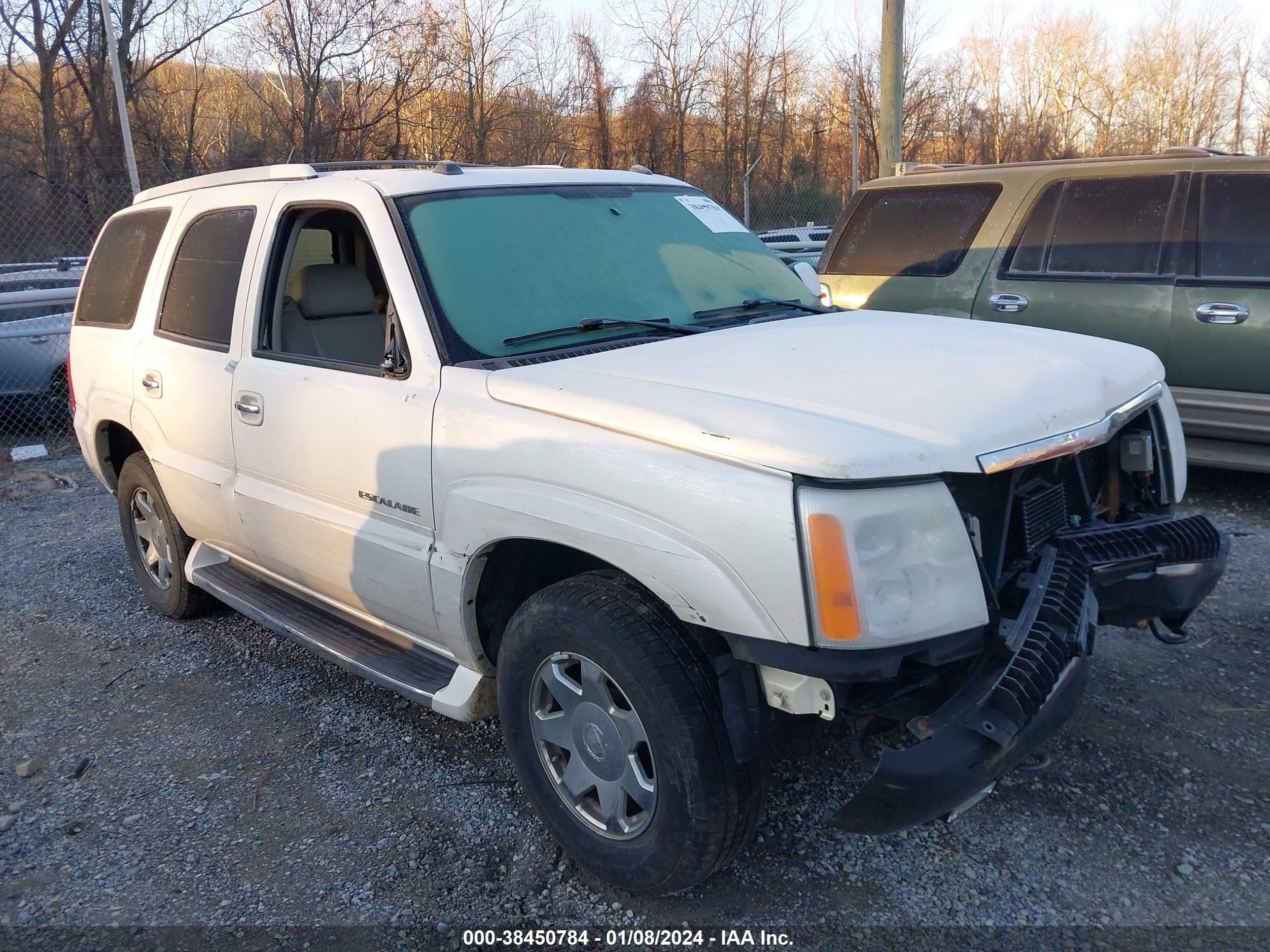 CADILLAC ESCALADE 2004 1gyek63n44r306530