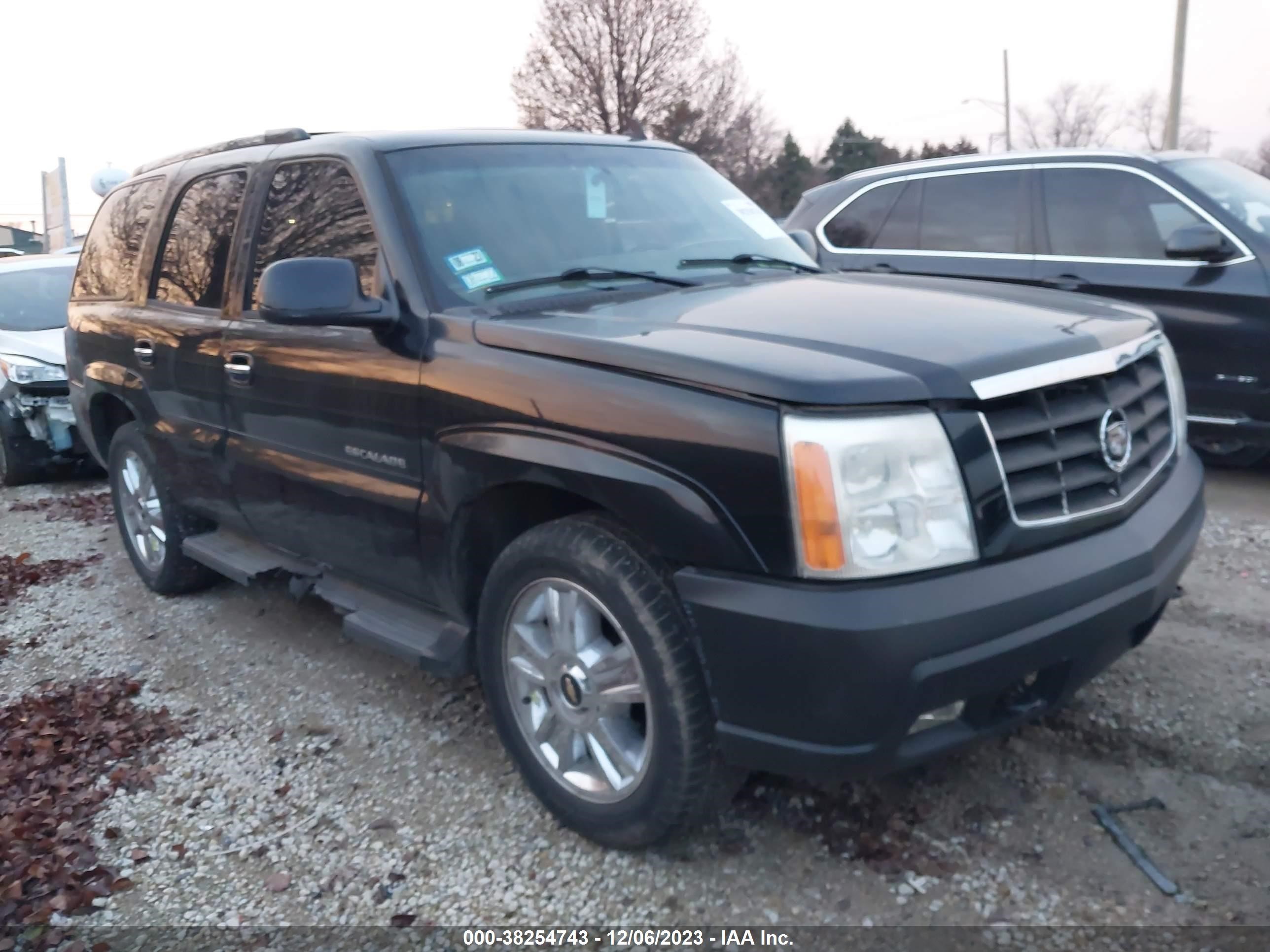 CADILLAC ESCALADE 2006 1gyek63n66r130549