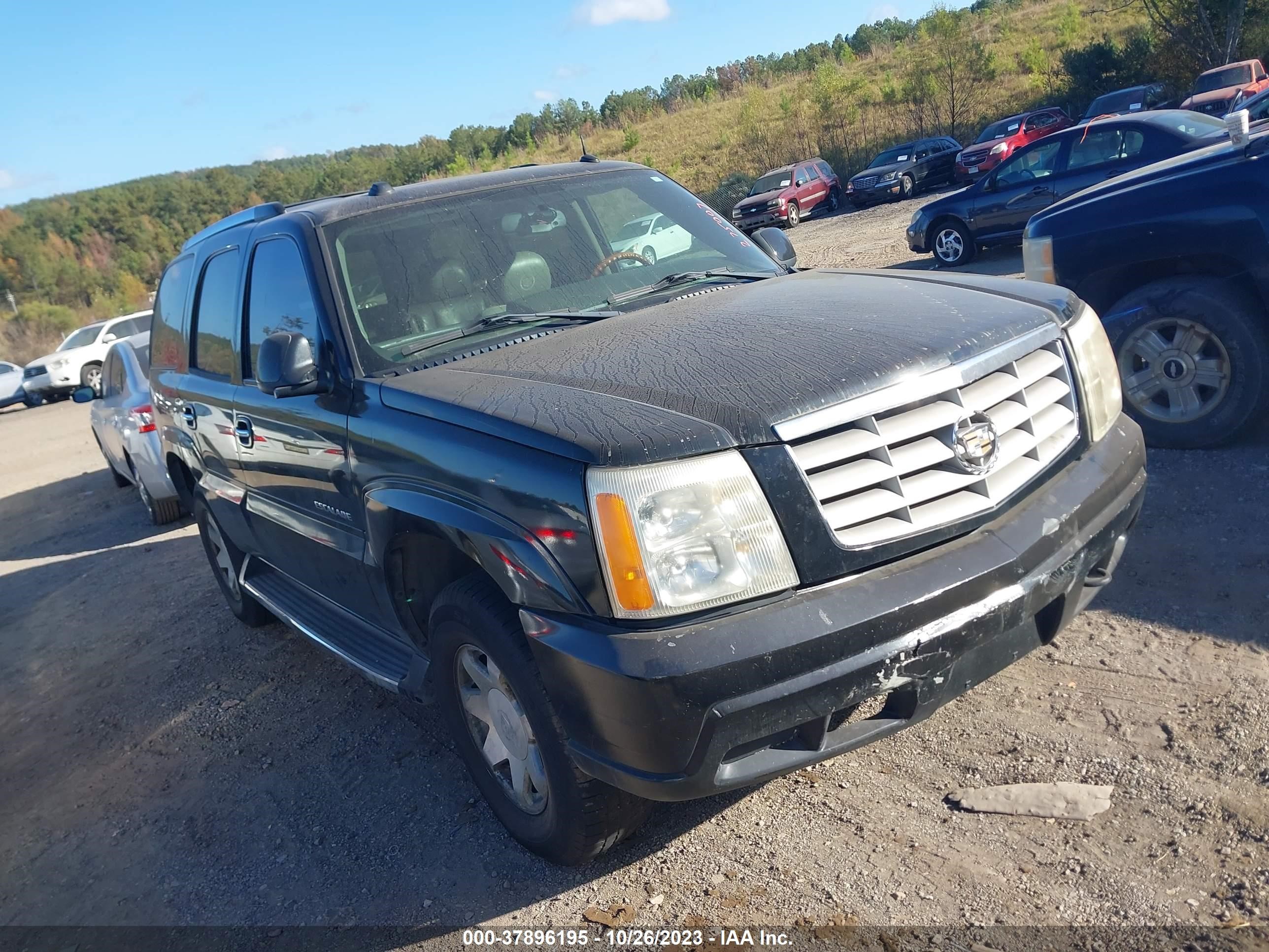 CADILLAC ESCALADE 2004 1gyek63n84r275007