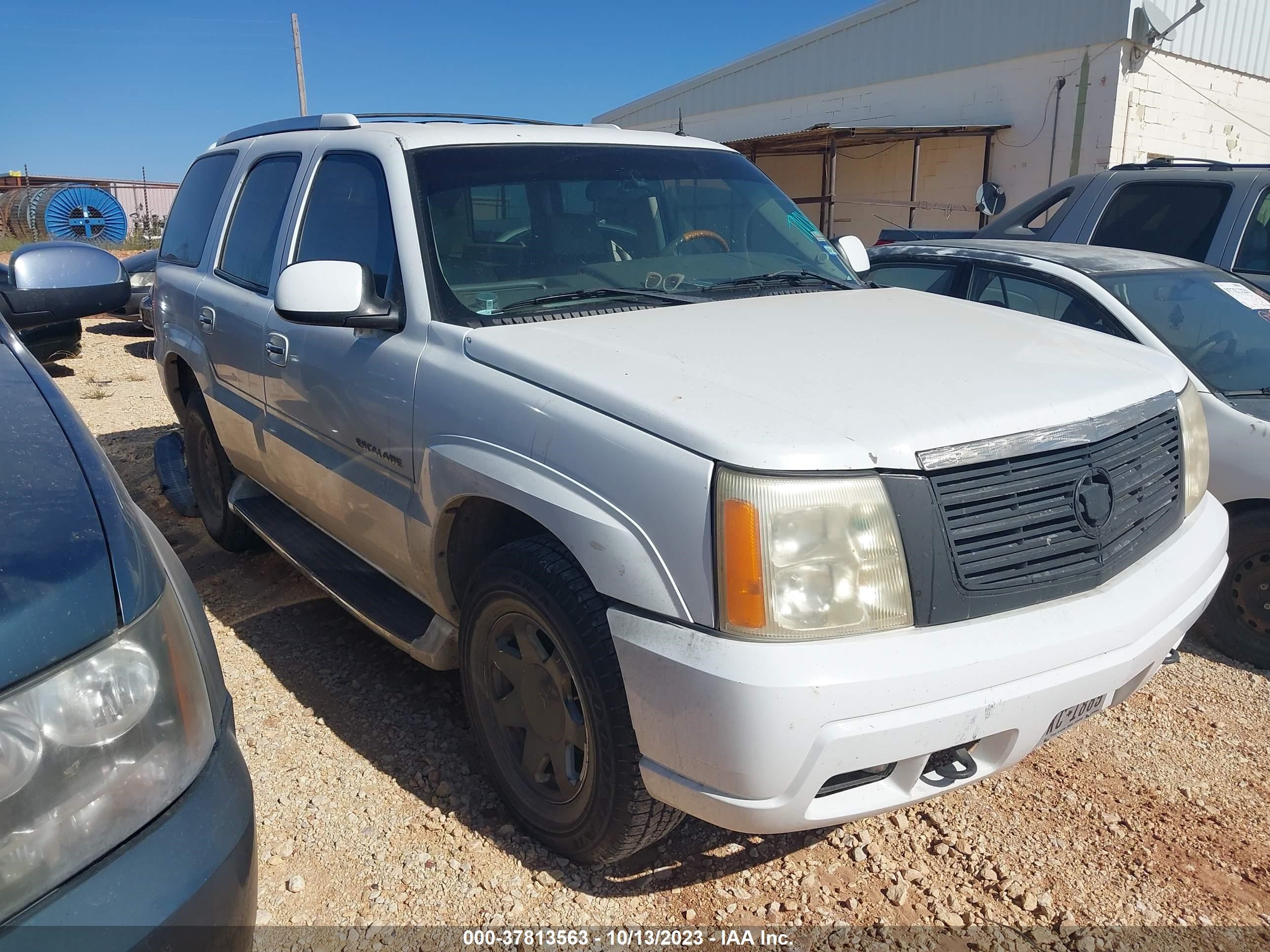 CADILLAC ESCALADE 2002 1gyek63n92r120401