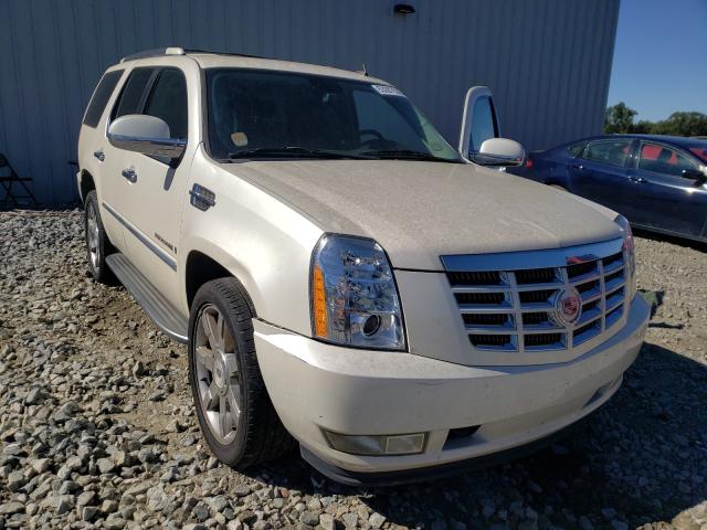 CADILLAC ESCALADE 2009 1gyfc23209r263585