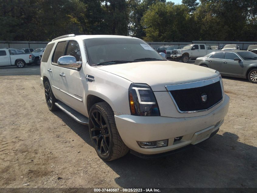 CADILLAC ESCALADE 2009 1gyfc23269r164060