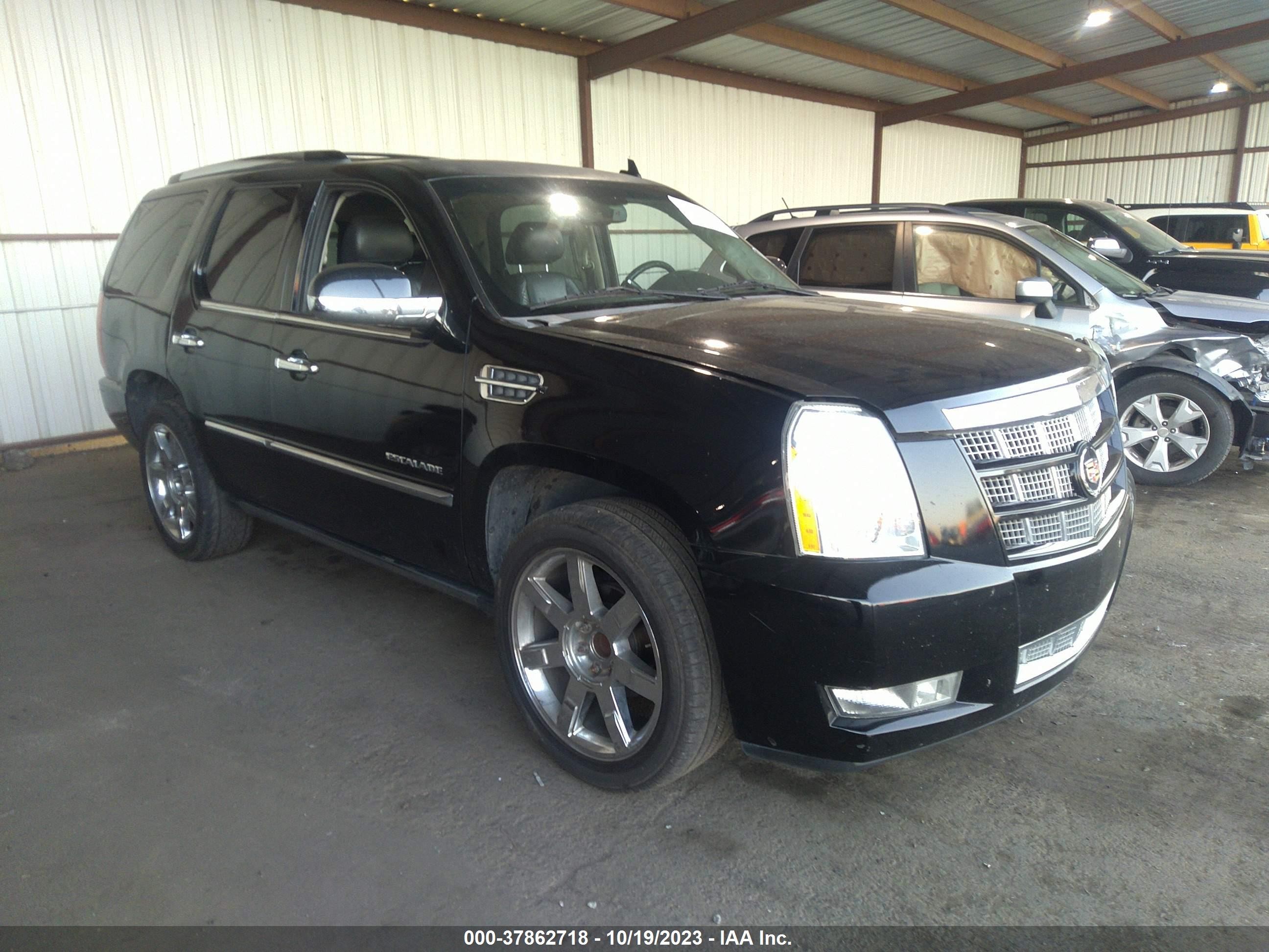 CADILLAC ESCALADE 2009 1gyfc23279r295224