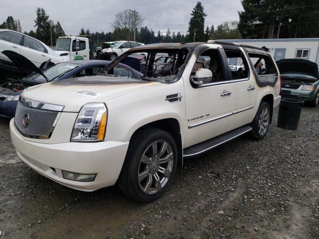 CADILLAC ESCALADE 2009 1gyfk16269r152287